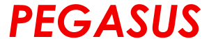 Pegasus Airlines